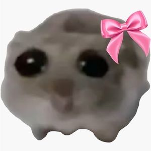 Meet your Posher, Clothing